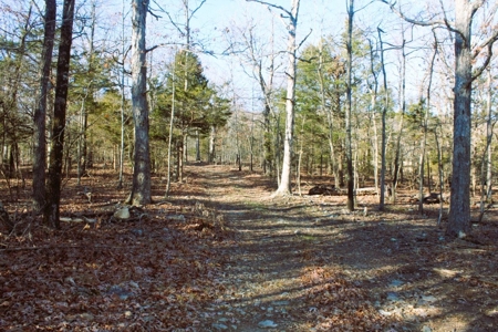 Unrestricted Acreage Near Timbo, Arkansas - image 24