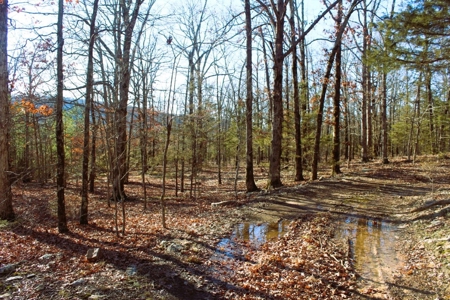 Unrestricted Acreage Near Timbo, Arkansas - image 19