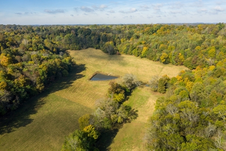 Farm for Sale in Marshall County, Tennessee - image 10