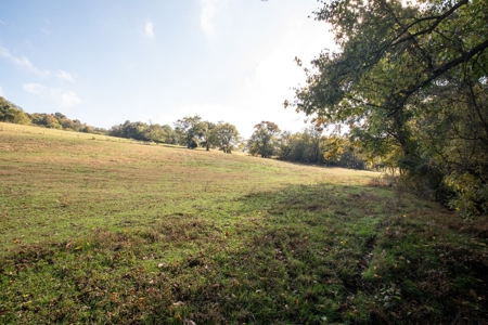 Farm for Sale in Marshall County, Tennessee - image 18