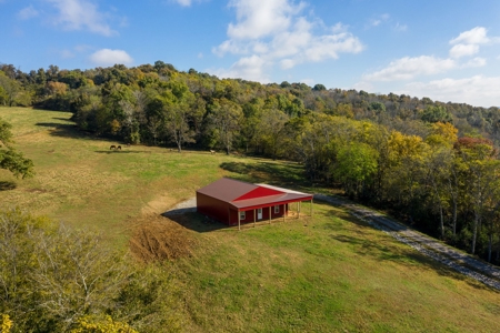 Farm for Sale in Marshall County, Tennessee - image 7