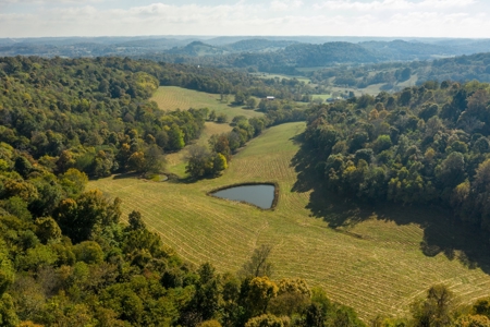 Farm for Sale in Marshall County, Tennessee - image 12