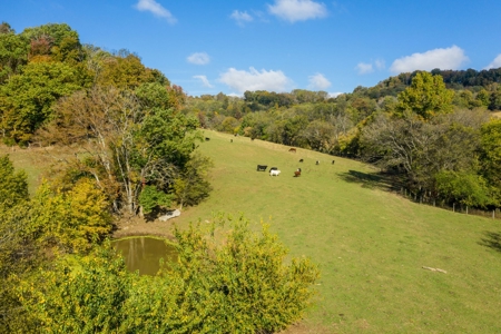 Farm for Sale in Marshall County, Tennessee - image 16