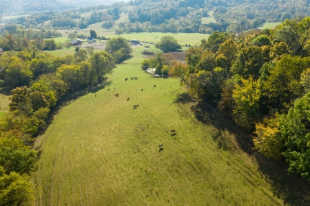 Farm for Sale in Marshall County, Tennessee - image 15