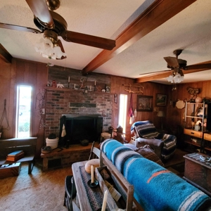 PREPPER'S Paradise/HOBBY Farm in Ouachita Ntl Forrest! - image 16