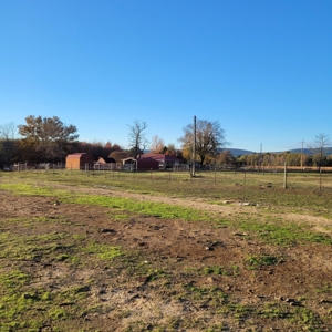 PREPPER'S Paradise/HOBBY Farm in Ouachita Ntl Forrest! - image 21