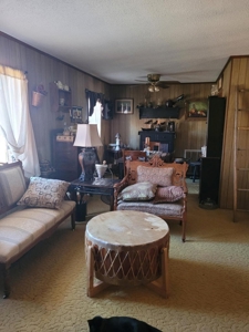 PREPPER'S Paradise/HOBBY Farm in Ouachita Ntl Forrest! - image 30