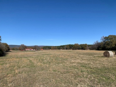 PREPPER'S Paradise/HOBBY Farm in Ouachita Ntl Forrest! - image 1