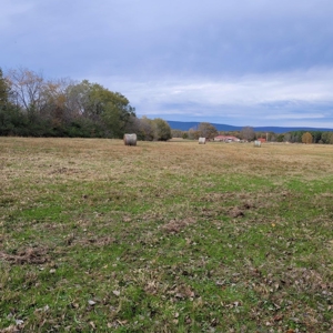 PREPPER'S Paradise/HOBBY Farm in Ouachita Ntl Forrest! - image 12