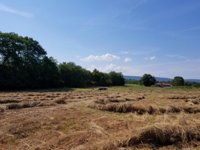PREPPER'S Paradise/HOBBY Farm in Ouachita Ntl Forrest! - image 20