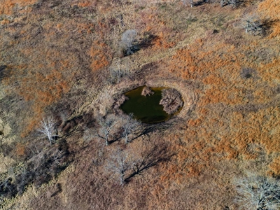 Pasture Land Or Commercial Opportunity Near Bull Shoals Lake - image 3