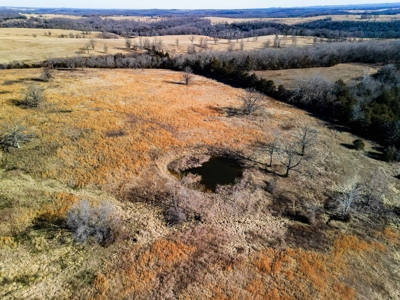 Pasture Land Or Commercial Opportunity Near Bull Shoals Lake - image 4