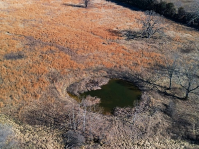 Pasture Land Or Commercial Opportunity Near Bull Shoals Lake - image 5