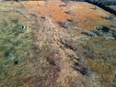 Pasture Land Or Commercial Opportunity Near Bull Shoals Lake - image 12