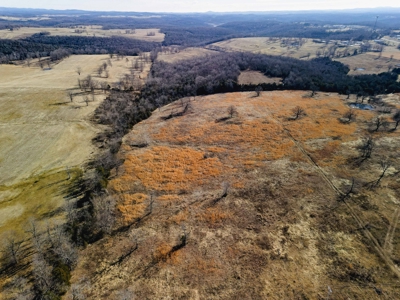 18.59 Acres Of Prime Pasture Land Or Commercial Opportunity - image 2