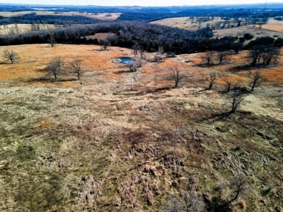 18.59 Acres Of Prime Pasture Land Or Commercial Opportunity - image 17