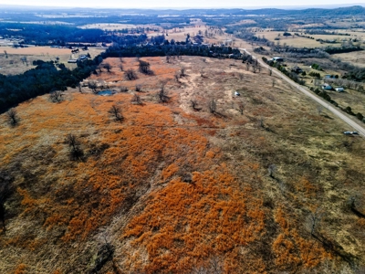 18.59 Acres Of Prime Pasture Land Or Commercial Opportunity - image 10