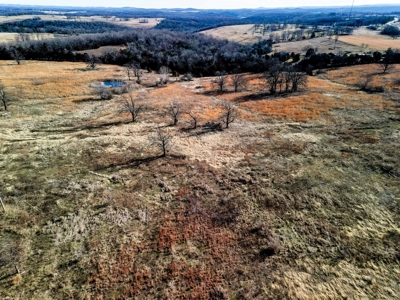 18.59 Acres Of Prime Pasture Land Or Commercial Opportunity - image 16