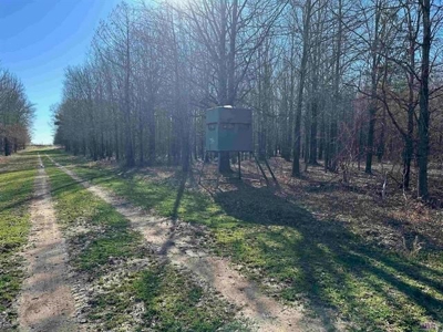 550 Acre Hunting Property w/ Camp Ouachita River - image 24