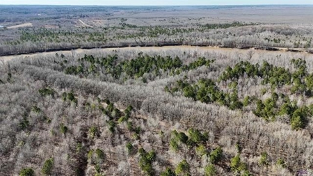 550 Acre Hunting Property w/ Camp Ouachita River - image 17