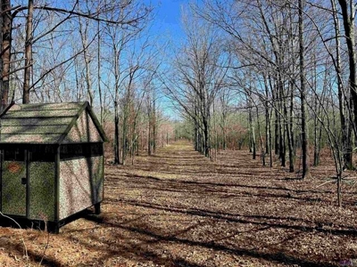 550 Acre Hunting Property w/ Camp Ouachita River - image 28