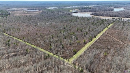 550 Acre Hunting Property w/ Camp Ouachita River - image 11