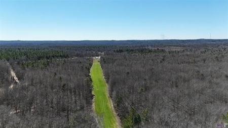 550 Acre Hunting Property w/ Camp Ouachita River - image 1