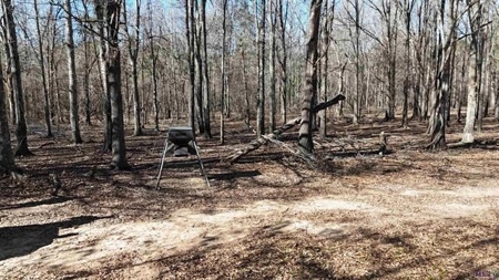 550 Acre Hunting Property w/ Camp Ouachita River - image 18