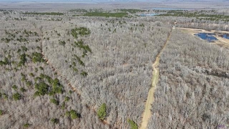 550 Acre Hunting Property w/ Camp Ouachita River - image 3