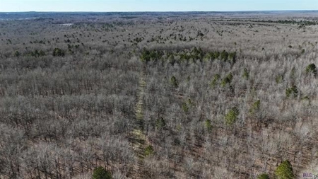 550 Acre Hunting Property w/ Camp Ouachita River - image 7
