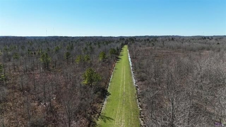 550 Acre Hunting Property w/ Camp Ouachita River - image 10