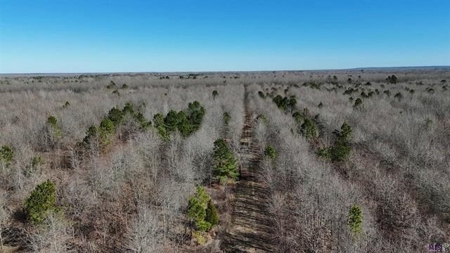 550 Acre Hunting Property w/ Camp Ouachita River - image 9