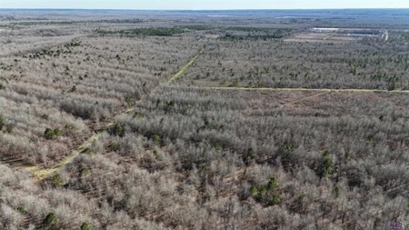 550 Acre Hunting Property w/ Camp Ouachita River - image 16