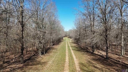 550 Acre Hunting Property w/ Camp Ouachita River - image 5