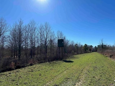 550 Acre Hunting Property w/ Camp Ouachita River - image 32