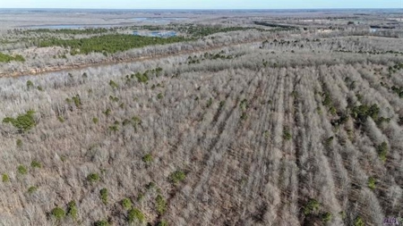 550 Acre Hunting Property w/ Camp Ouachita River - image 22