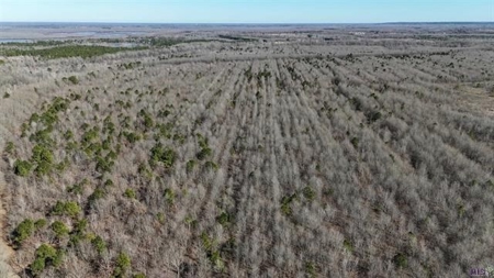 550 Acre Hunting Property w/ Camp Ouachita River - image 14