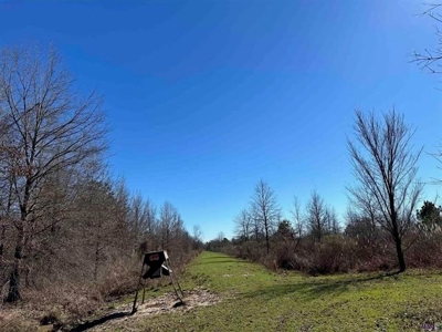550 Acre Hunting Property w/ Camp Ouachita River - image 31