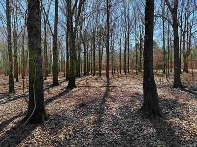 550 Acre Hunting Property w/ Camp Ouachita River - image 27
