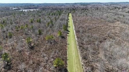 550 Acre Hunting Property w/ Camp Ouachita River - image 12