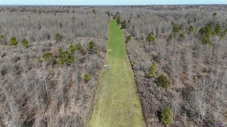 550 Acre Hunting Property w/ Camp Ouachita River - image 2