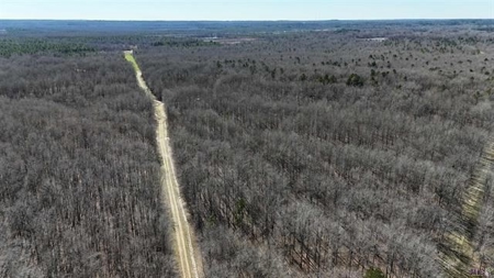 550 Acre Hunting Property w/ Camp Ouachita River - image 6