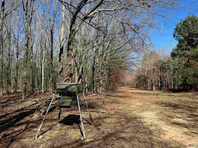 550 Acre Hunting Property w/ Camp Ouachita River - image 33