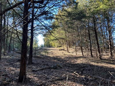 Ranch/Hunting land with Country home for sale in Southeaster - image 50