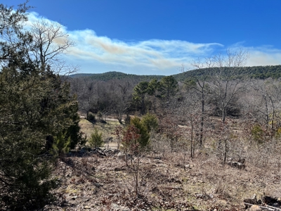 Ranch/Hunting land with Country home for sale in Southeaster - image 31