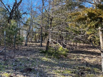 Ranch/Hunting land with Country home for sale in Southeaster - image 47