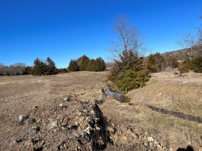 Ranch/Hunting land with Country home for sale in Southeaster - image 48