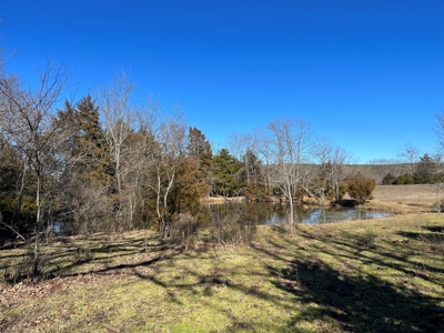 Ranch/Hunting land with Country home for sale in Southeaster - image 45