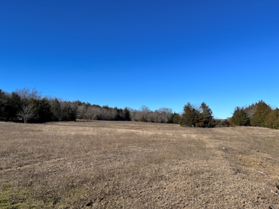 Ranch/Hunting land with Country home for sale in Southeaster - image 49
