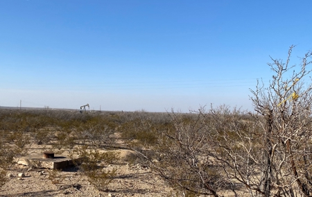 20.61 Acres Valley Gardens in Pecos County, Ft Stockton, Tx - image 15